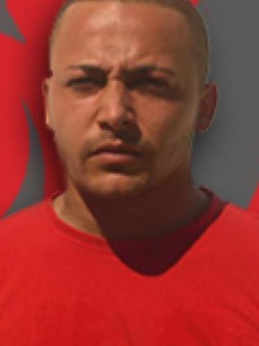 Avatar Bild für Pala Melik