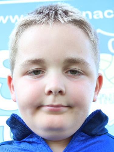 Avatar Bild für Niklas Stangl
