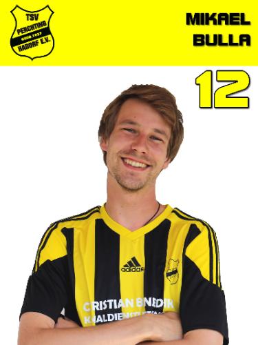 Avatar Bild für Mikael Bulla