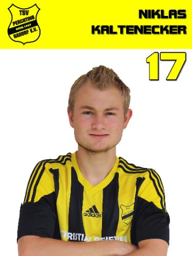 Avatar Bild für Niklas Kaltenecker
