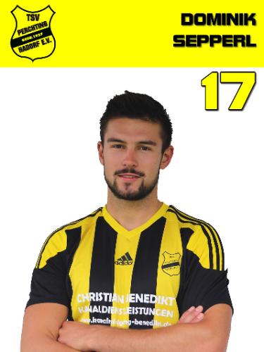 Avatar Bild für Dominik Sepperl