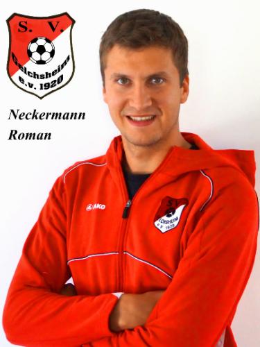 Avatar Bild für Roman Neckermann