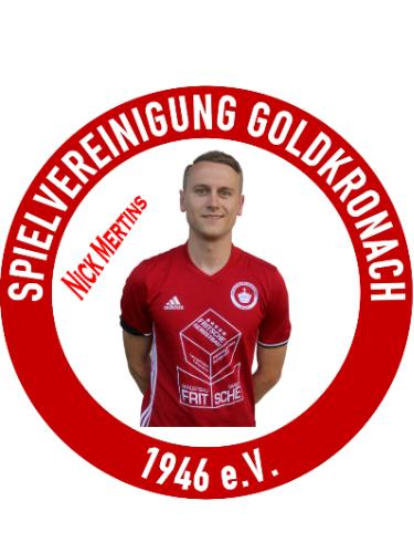 Avatar Bild für Nick Mertins