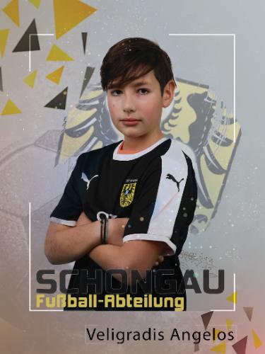 Avatar Bild für Angelos Veligradis
