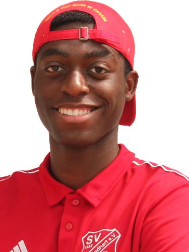 Avatar Bild für Amiel Mambuini Ndongala