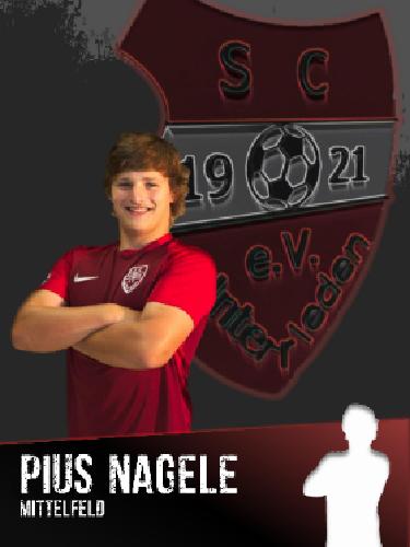 Avatar Bild für Pius Nägele
